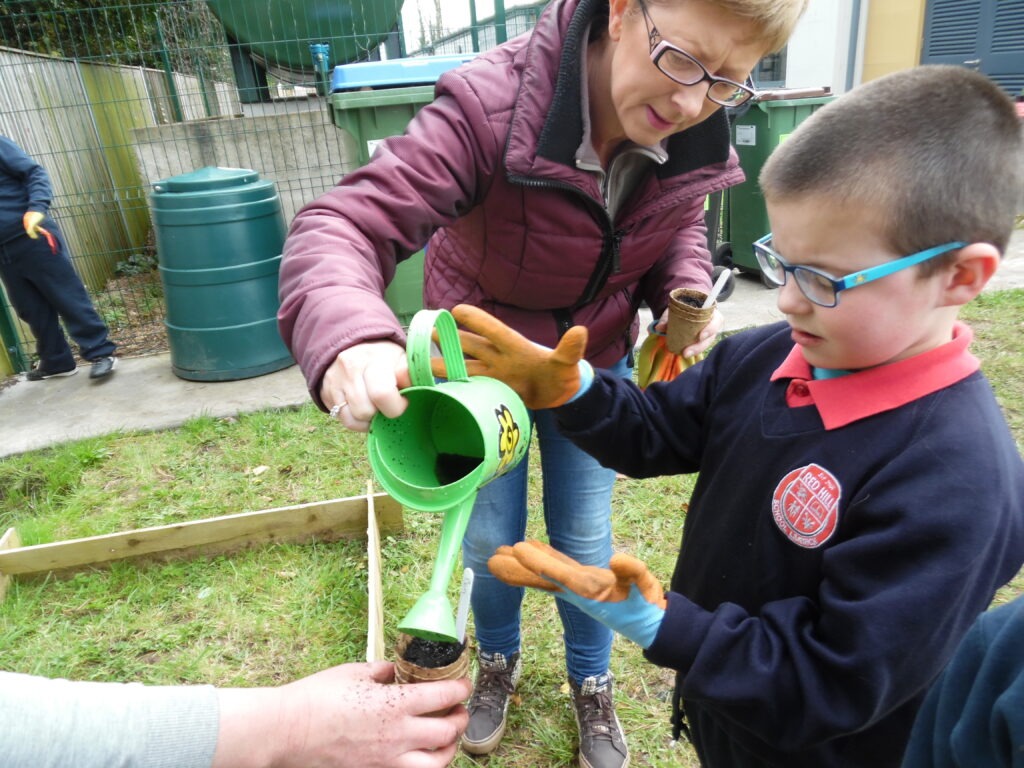 Sycamore Gardening _1116