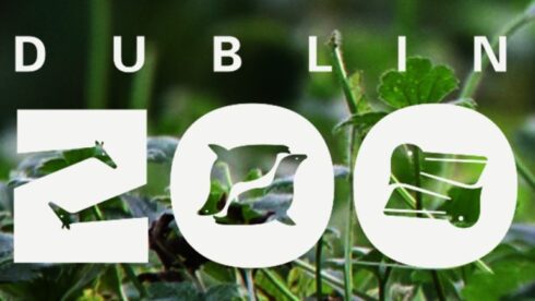 dublinzoo-one-770x434